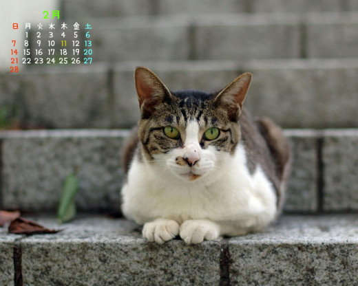 402377 (a): :1280x1024